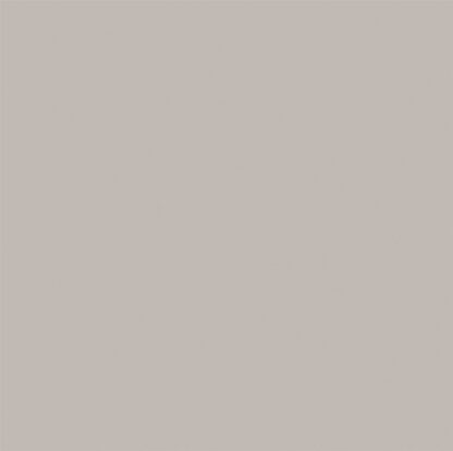 Porta Divilux Eucaplac UV Cinza Cristal 0,82 × 2,11 m